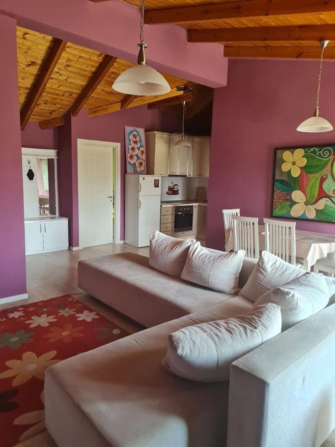 Penthahouse Shallvare Tirana Buitenkant foto